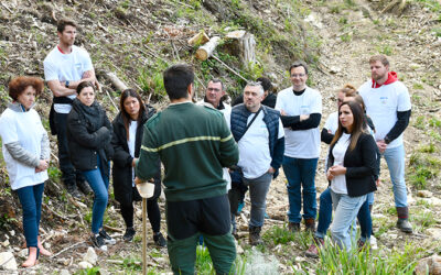 EDA participe au reboisement d’une parcelle de forêt à Oyonnax