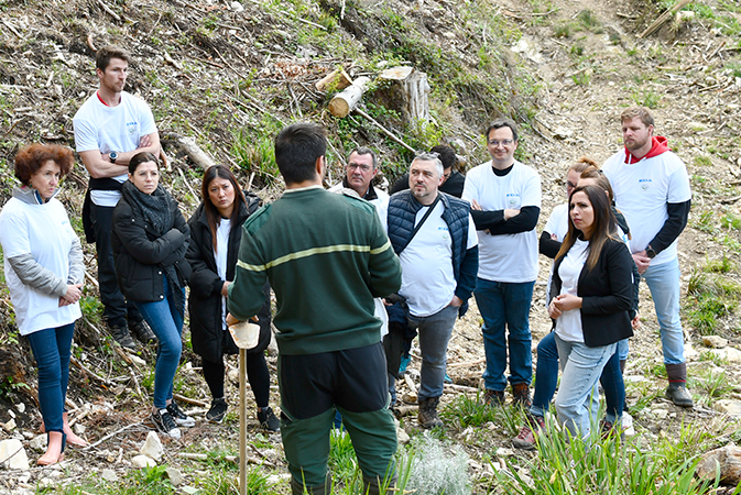 EDA participe au reboisement d’une parcelle de forêt à Oyonnax