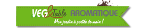 logo graphit