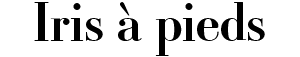 logo graphit