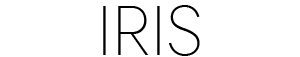 logo graphit