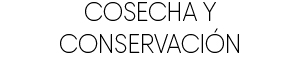 logo graphit