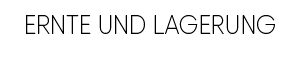 logo graphit