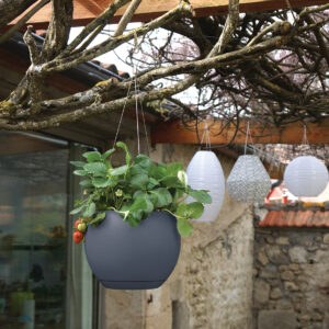 ambiance gamme graphit